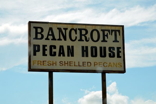 A pecan house sign on the highway at Kerens